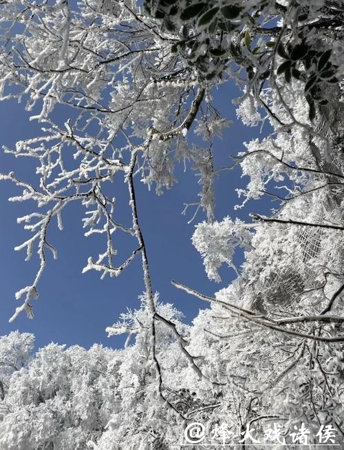 赏雪张家界 赏雪张家界